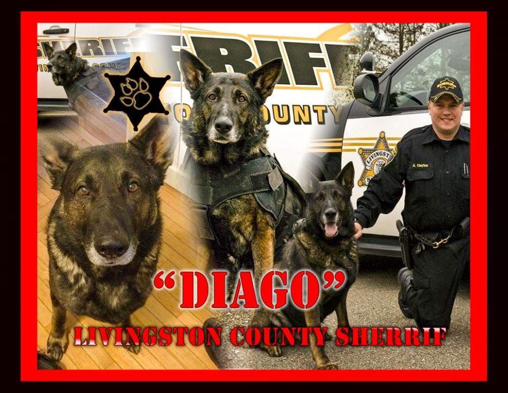 AMVETS War Dog Collage DIAGO 061014-5.jpg